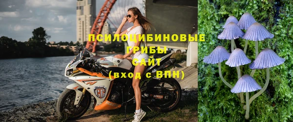 винт Липки
