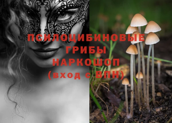 соль ск Лиски