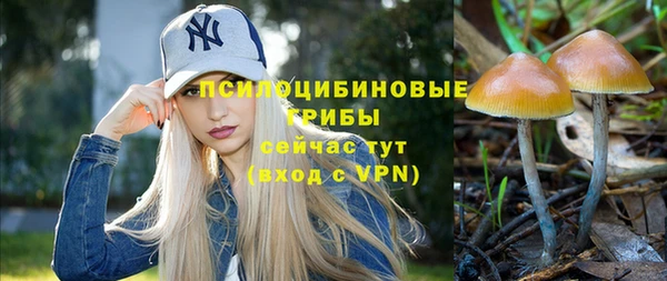 винт Липки