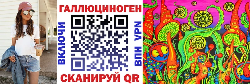 Галлюциногенные грибы Psilocybe  Купить закладки  Новоржев 